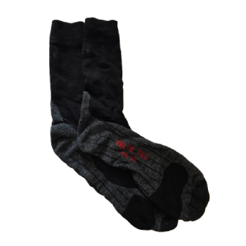 Falke Socks